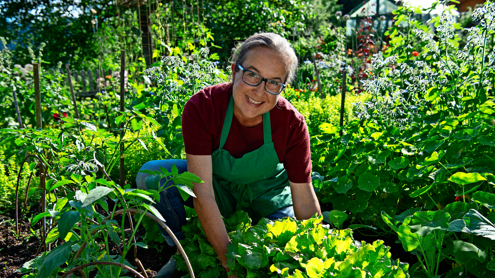 Walburga Schillinger weiß immer, was auf den Tisch kommt: Obst, Salat und Gemüse aus dem eigenen Bauerngarten.Foto: WDR/Melanie Grande Walburga Schillinger weiß immer, was auf den Tisch kommt: Obst, Salat und Gemüse aus dem eigenen Bauerngarten.Foto: WDR/Melanie Grande