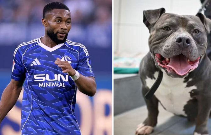 Moussa Sylla und Hund „Ghosty“<span class='image-autor'>Foto: IMAGO/Laci Perenyi/Funke Foto Services</span>