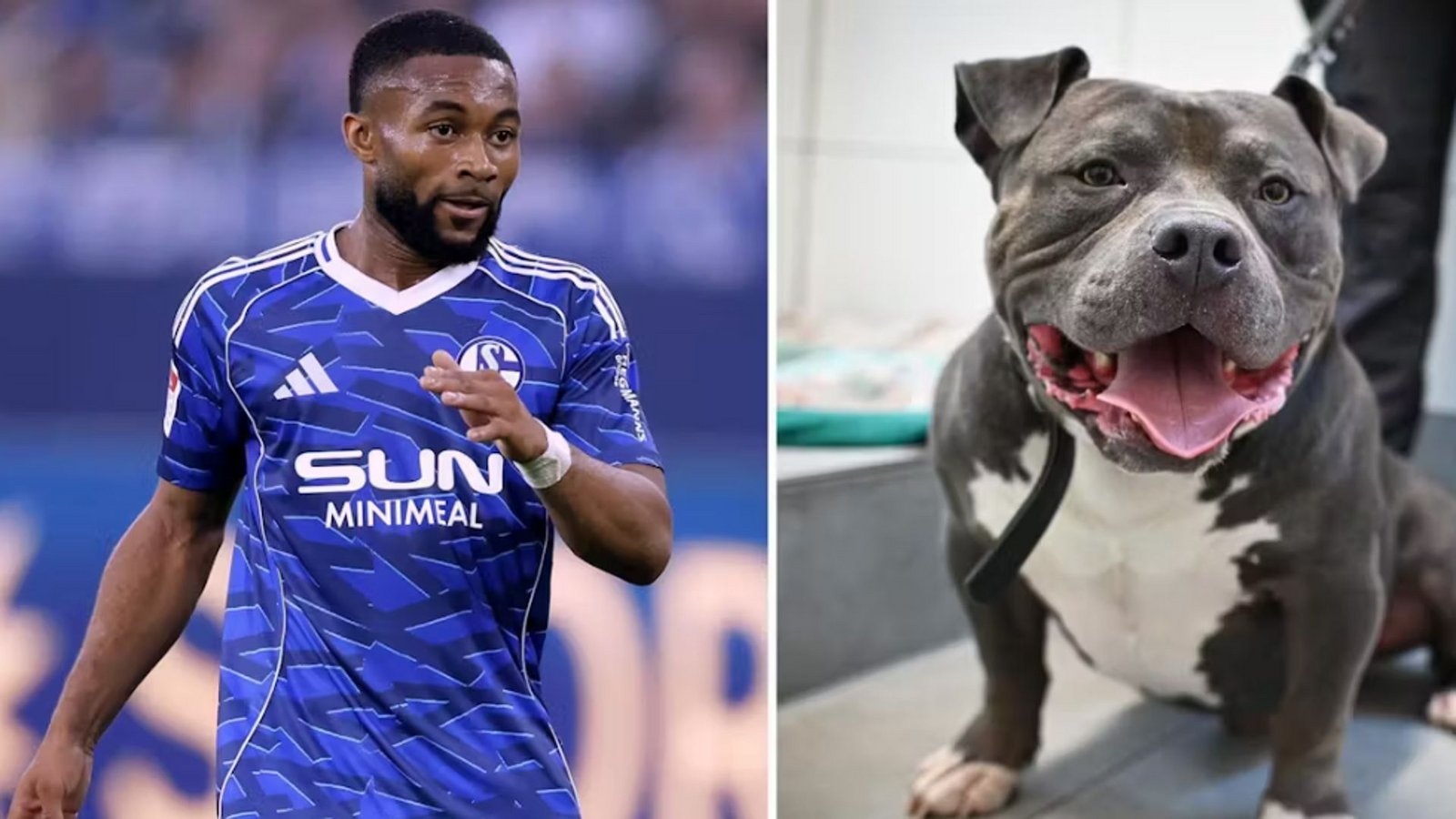 Moussa Sylla und Hund „Ghosty“Foto: IMAGO/Laci Perenyi/Funke Foto Services Moussa Sylla und Hund „Ghosty“Foto: IMAGO/Laci Perenyi/Funke Foto Services