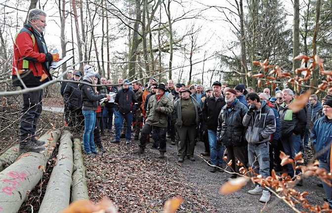 Premiere mit Förster Steffen Frank bei der Holzauktion in Nussdorf. Fotos: Bögel