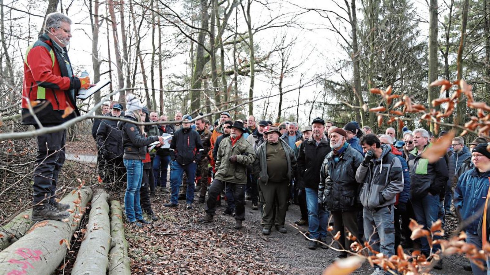 Premiere mit Förster Steffen Frank bei der Holzauktion in Nussdorf. Fotos: Bögel