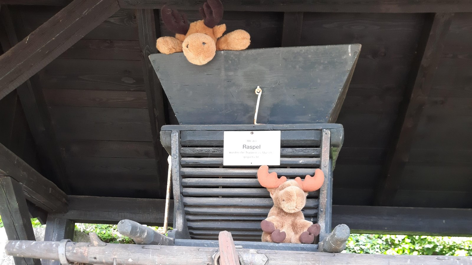 Eine tierische Entdeckung haben Emma und Frieda, die Enkel von Gisela Kraus, auf dem Klosterberg in Horrheim gemacht: zwei Elche. Vor zwei Jahren sei dort ein Plüschaffe gewesen, schreibt Kraus und fragt: „Wo der jetzt wohl ein Zuhause gefunden hat?“ Eine tierische Entdeckung haben Emma und Frieda, die Enkel von Gisela Kraus, auf dem Klosterberg in Horrheim gemacht: zwei Elche. Vor zwei Jahren sei dort ein Plüschaffe gewesen, schreibt Kraus und fragt: „Wo der jetzt wohl ein Zuhause gefunden hat?“
