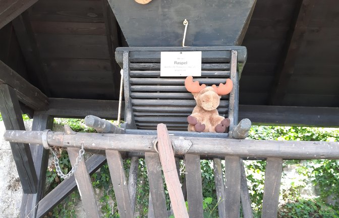 Eine tierische Entdeckung haben Emma und Frieda, die Enkel von Gisela Kraus, auf dem Klosterberg in Horrheim gemacht: zwei Elche. Vor zwei Jahren sei dort ein Plüschaffe gewesen, schreibt Kraus und fragt: „Wo der jetzt wohl ein Zuhause gefunden hat?“