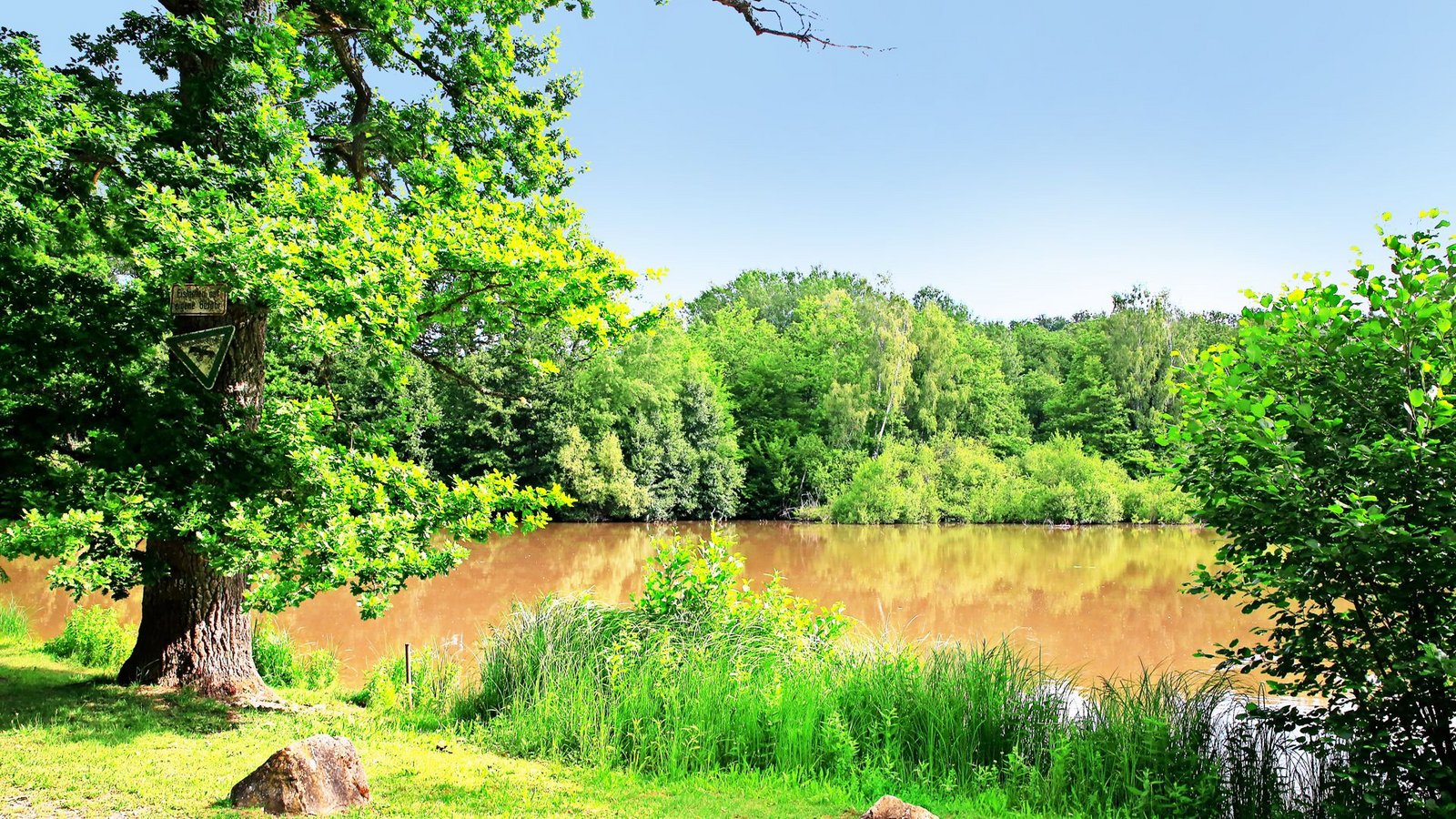 Idylle am HölzerseeFoto: Dieter Buck Idylle am HölzerseeFoto: Dieter Buck