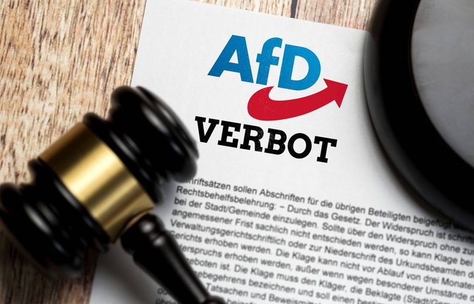 Wie erfolgversprechend ein Parteiverbot tatsächlich ist, ist umstritten.<span class='image-autor'>Foto: IMAGO/Bihlmayerfotografie/IMAGO</span>