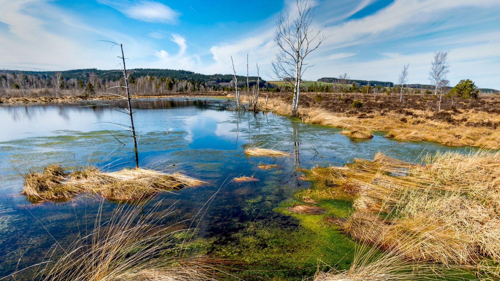 Das Wurzacher Ried ist die größte intakte Hochmoorfläche Mitteleuropas und Heimat seltener Pflanzen und Tiere.Foto: imago//MindScapePhotographyx Das Wurzacher Ried ist die größte intakte Hochmoorfläche Mitteleuropas und Heimat seltener Pflanzen und Tiere.Foto: imago//MindScapePhotographyx
