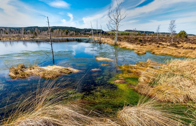 Das Wurzacher Ried ist die größte intakte Hochmoorfläche Mitteleuropas und Heimat seltener Pflanzen und Tiere.<span class='image-autor'>Foto: imago//MindScapePhotographyx</span>