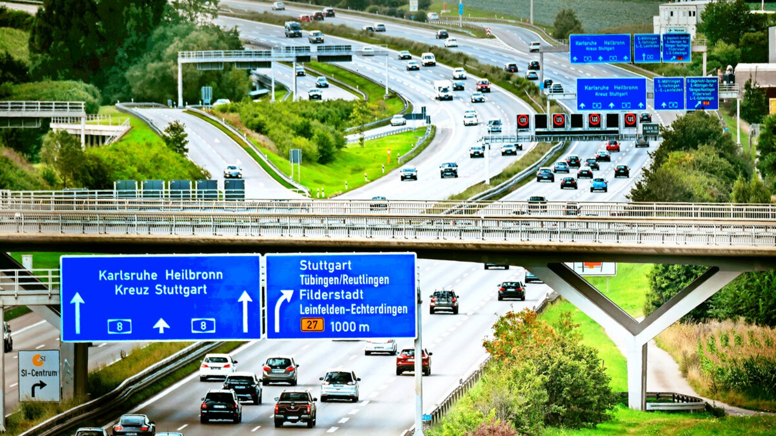 Komplex: das Echterdinger EiFoto: Lg/Zweygarth Komplex: das Echterdinger EiFoto: Lg/Zweygarth