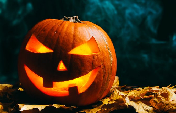 Foto: Asife / Shutterstock.com