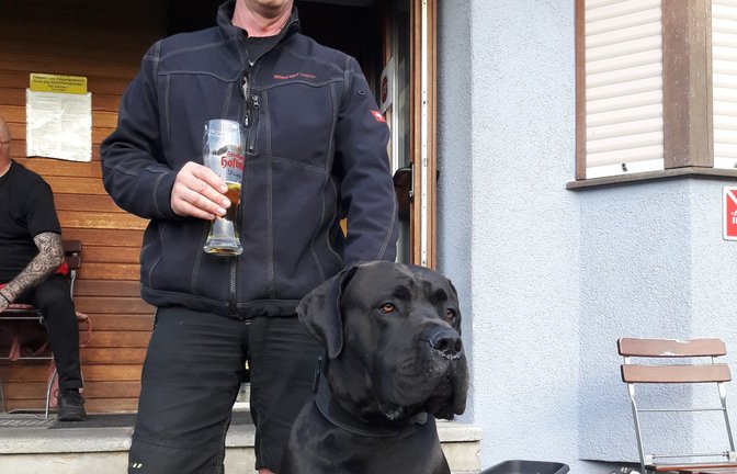 Balu aus Aurich – ein Mix aus Deutscher Dogge und Cane Corso, zarte 75 Kilogramm schwer – guckt gerne mal mit Herrchen beim Fußballspiel auf dem Sportplatz des VfB Vaihingen zu.  <span class='image-autor'>Foto: Rücker</span>