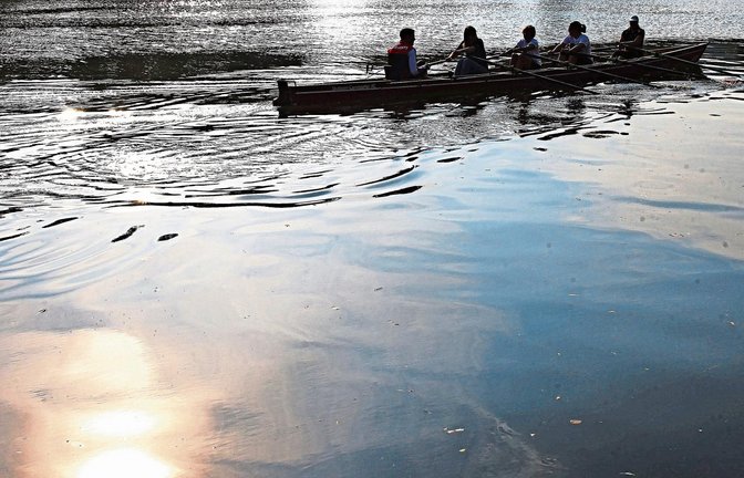 Per Muskelkraft den Neckar entlang: Das besondere am Rudersport ist für Viele die enge Verbindung von körperlicher Bewegung und der freien Natur. Fotos: Baumann