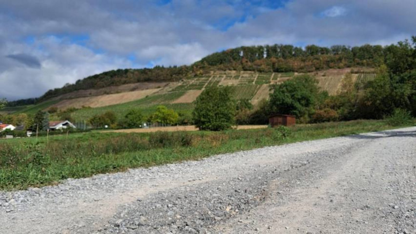 Spurrillen und Auswaschungen machen den Feldweg schwer befahrbar. Foto: Glemser Spurrillen und Auswaschungen machen den Feldweg schwer befahrbar. Foto: Glemser