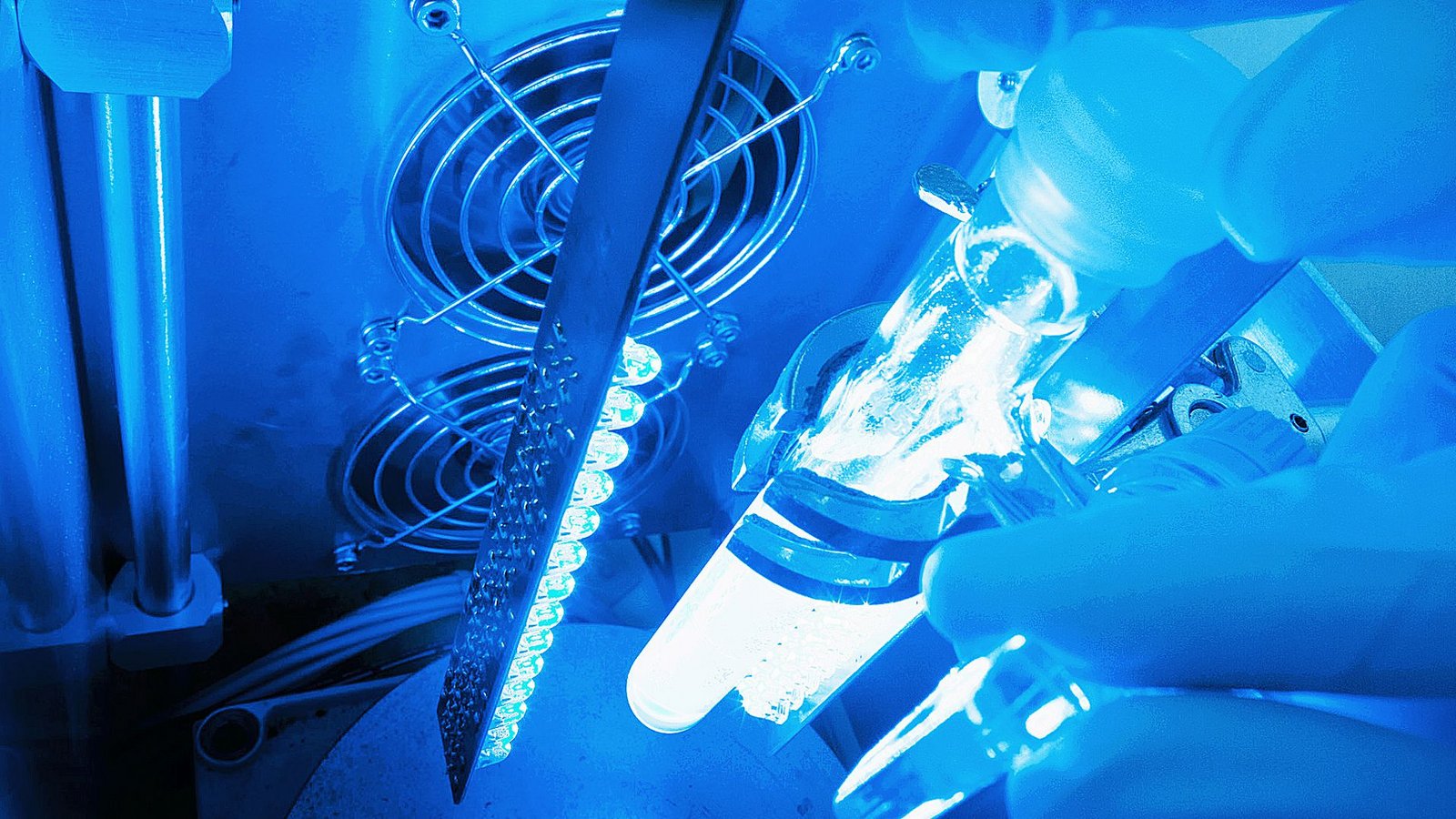 In dem Röhrchen wird mithilfe von Licht Wasserstoff produziert.Foto: In dem Röhrchen wird mithilfe von Licht Wasserstoff produziert.Foto: 