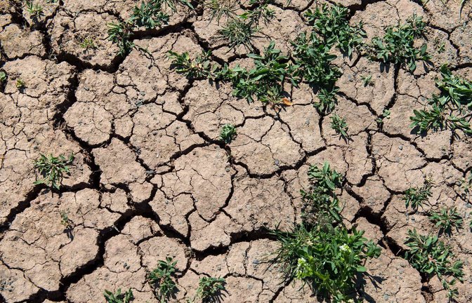 2024 lag die weltweite Durchschnittstemperatur mehr als 1,5 Grad Celsius über dem Schnitt der vorindustriellen Zeit – und die Folgen spürt man.<span class='image-autor'>Foto: epd</span>