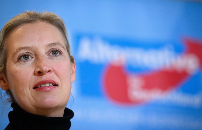 Auch in der AfD hat Alice Weidel nicht nur Freunde.<span class='image-autor'>Foto: dpa/Bernd von Jutrczenka</span>