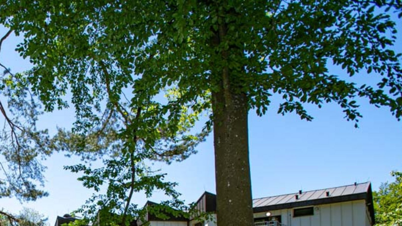 Schullandheim Strümpfelbrunn Odenwald Landkreis Ludwigsburg Foto:LL