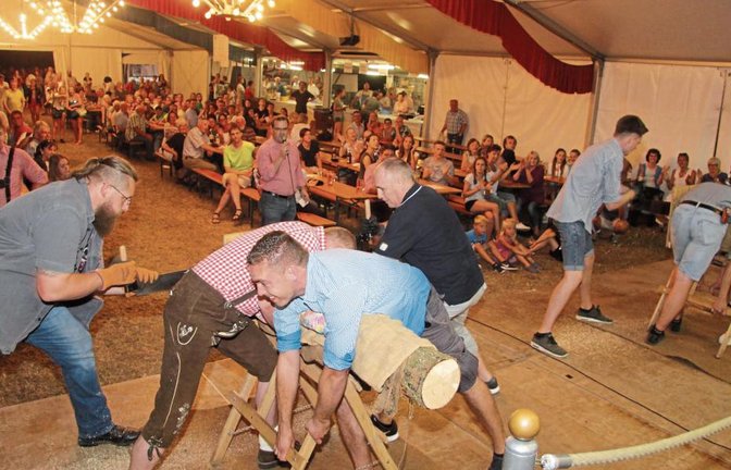 Dem drittplatzierten Team um Bürgermisterkandidat Wittendorfer (blaukariertes Hemd) unterlag auch nur die MV-Jugend. Fotos: Gergen
