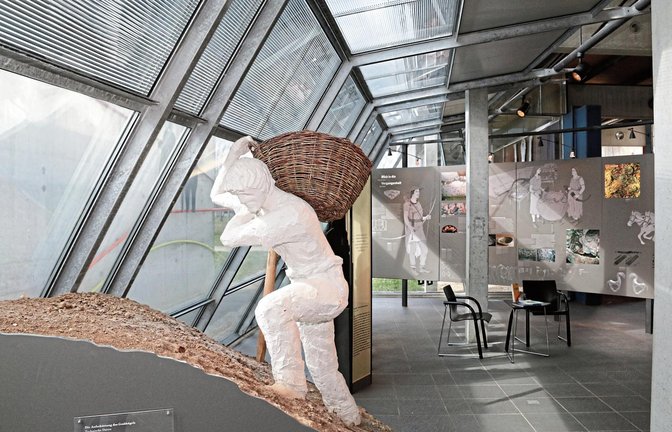 Baulich und auch didaktisch soll das Keltenmuseum neu aufgestellt werden. Bund und Land geben dafür rund eine Million Euro.   Foto: Archiv