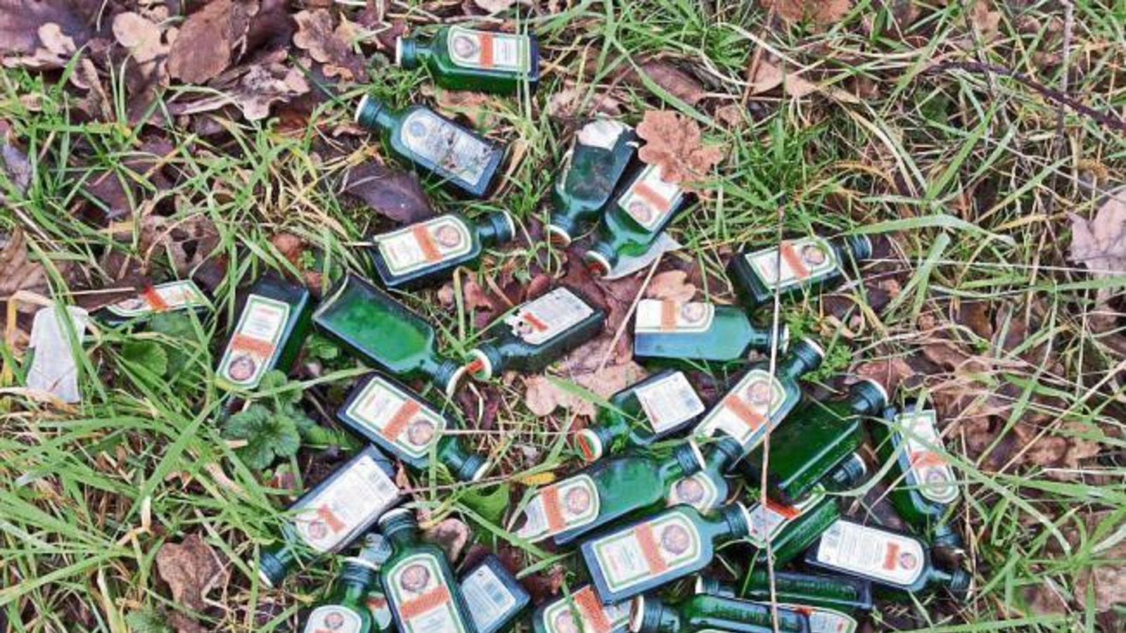 Bernd Beck aus Horrheim hat diesen unerquicklichen Entsorgungsplatz im Wald entdeckt.
