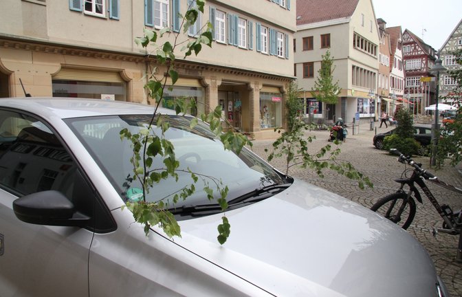 Selbst das Auto der Vaihinger Ortspolizeibehörde trägt Maientagsschmuck.  <span class='image-autor'>Foto: mib</span>