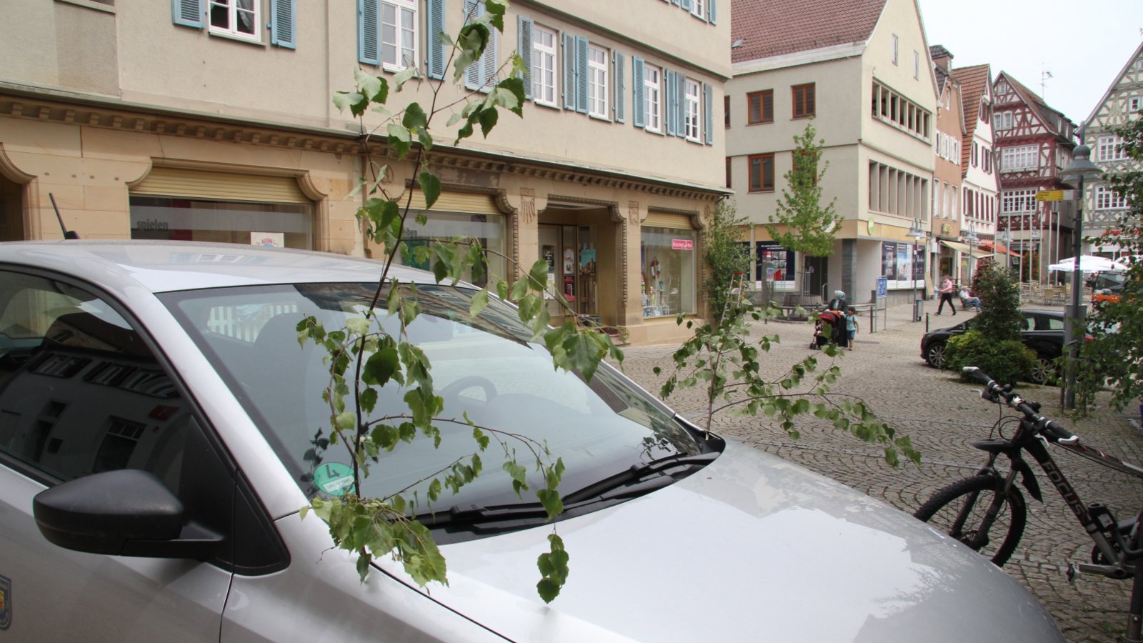 Selbst das Auto der Vaihinger Ortspolizeibehörde trägt Maientagsschmuck.  Foto: mib