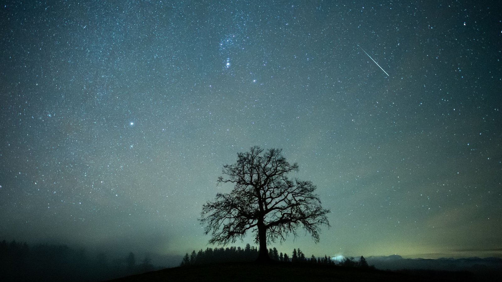 Eine Sternschnuppe ist während des Geminiden-Meteteorstroms am Sternenhimmel über einem Baum beim bayerischen Münsingzu sehen.Foto: dpa/Matthias Balk Eine Sternschnuppe ist während des Geminiden-Meteteorstroms am Sternenhimmel über einem Baum beim bayerischen Münsingzu sehen.Foto: dpa/Matthias Balk
