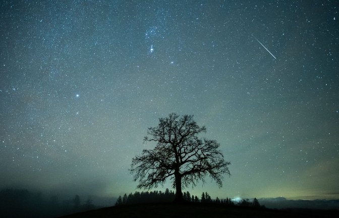 Eine Sternschnuppe ist während des Geminiden-Meteteorstroms am Sternenhimmel über einem Baum beim bayerischen Münsingzu sehen.<span class='image-autor'>Foto: dpa/Matthias Balk</span>