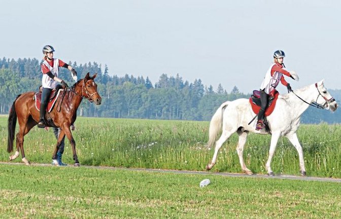 Auch Saida Hilal mit Sina Röhm im Sattel (links) und Whiskey mit Finnja Röhm brauchen auf einem Distanzritt mal eine Abkühlung. Foto: privat