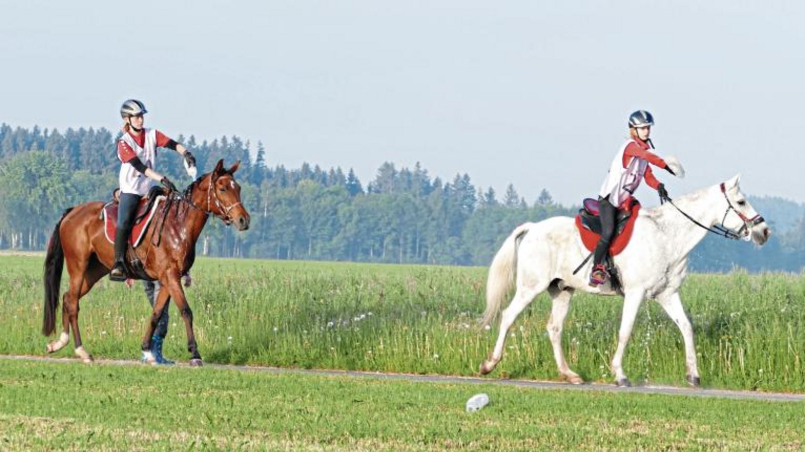 Auch Saida Hilal mit Sina Röhm im Sattel (links) und Whiskey mit Finnja Röhm brauchen auf einem Distanzritt mal eine Abkühlung. Foto: privat Auch Saida Hilal mit Sina Röhm im Sattel (links) und Whiskey mit Finnja Röhm brauchen auf einem Distanzritt mal eine Abkühlung. Foto: privat