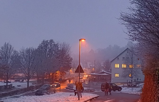 Wenn es dunkel und diesig ist, ist gut sichtbare oder reflektierende Kleidung wichtig. <span class='image-autor'>Foto: Rücker</span>