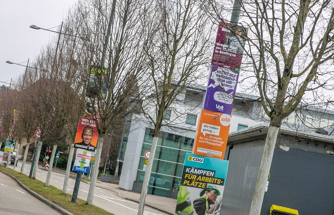 Das Land im Wahlfieber: Überall weisen Plakate auf die bevorstehende Landtagswahl hin.<span class='image-autor'>Foto: Roberto Bulgrin</span>