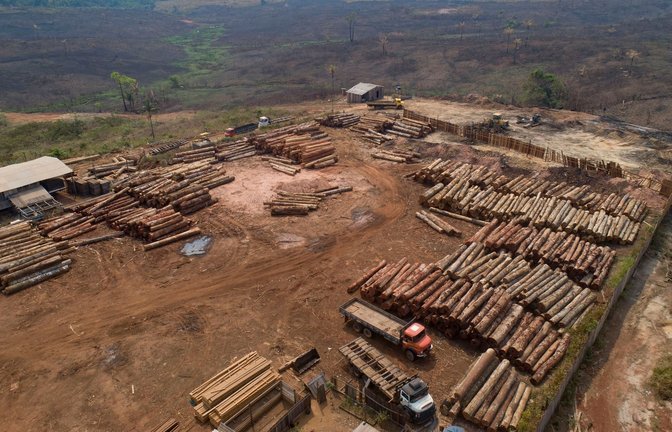 Holzstämme werden in Brasilien in einem Sägewerk gestapelt: Beim Weltnaturgipfel im kanadischen Montreal geht es um Artenschutz und einen grundlegenden Wandel im Wirtschaftssystem.<span class='image-autor'>Foto: Andre Penner/AP/dpa</span>