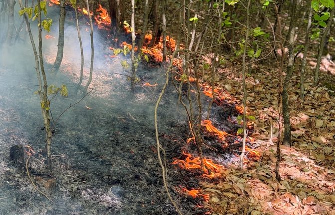Die Feuerwehren in Stuttgart und der Region kämpfen derzeit täglich mit Vegetationsbränden. Die Serie ist beispiellos&nbsp;– und hat in Stuttgart bereits im April mit einem Waldbrand bei Rohracker begonnen.<span class='image-autor'>Feuerwehr Stuttgart</span>