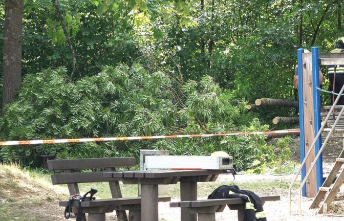 Ein Baum droht auf einen Spielplatz zu stürzen - die Feuerwehr rückt mit Motorsägen an und sichert den Platz.<span class='image-autor'>Blaulichtzentrale/Lermer</span>