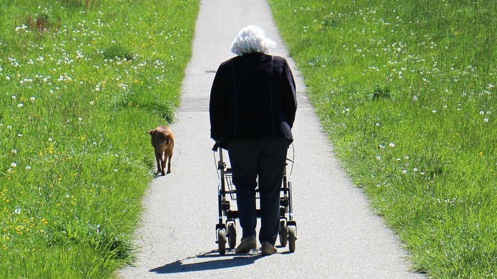 Welche Angebote für Seniorinnen und Senioren gibt es in Sachsenheim?    Symbolbild: Antranias/pixabay.com