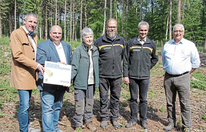 Mit der Spende der Sparda-Bank, vertreten durch den Ludwigsburger Filialleiter Michael Bley (von links), konnten auf der ehemals vom Borkenkäfer befallenen Fläche im Sersheimer Wald die 3500 jungen Bäume gepflanzt werden. Sehr zur Freude von Bürgermeister Jürgen Scholz, Forstamtsleiterin Gundula Gmelin, Revierförster Hartmut Flunkert, dem stellvertretenden Forstamtsleiter Dr. Michael Nill und dem SDW-Kreisvorsitzenden Peter Schäfer.  Foto: Banholzer