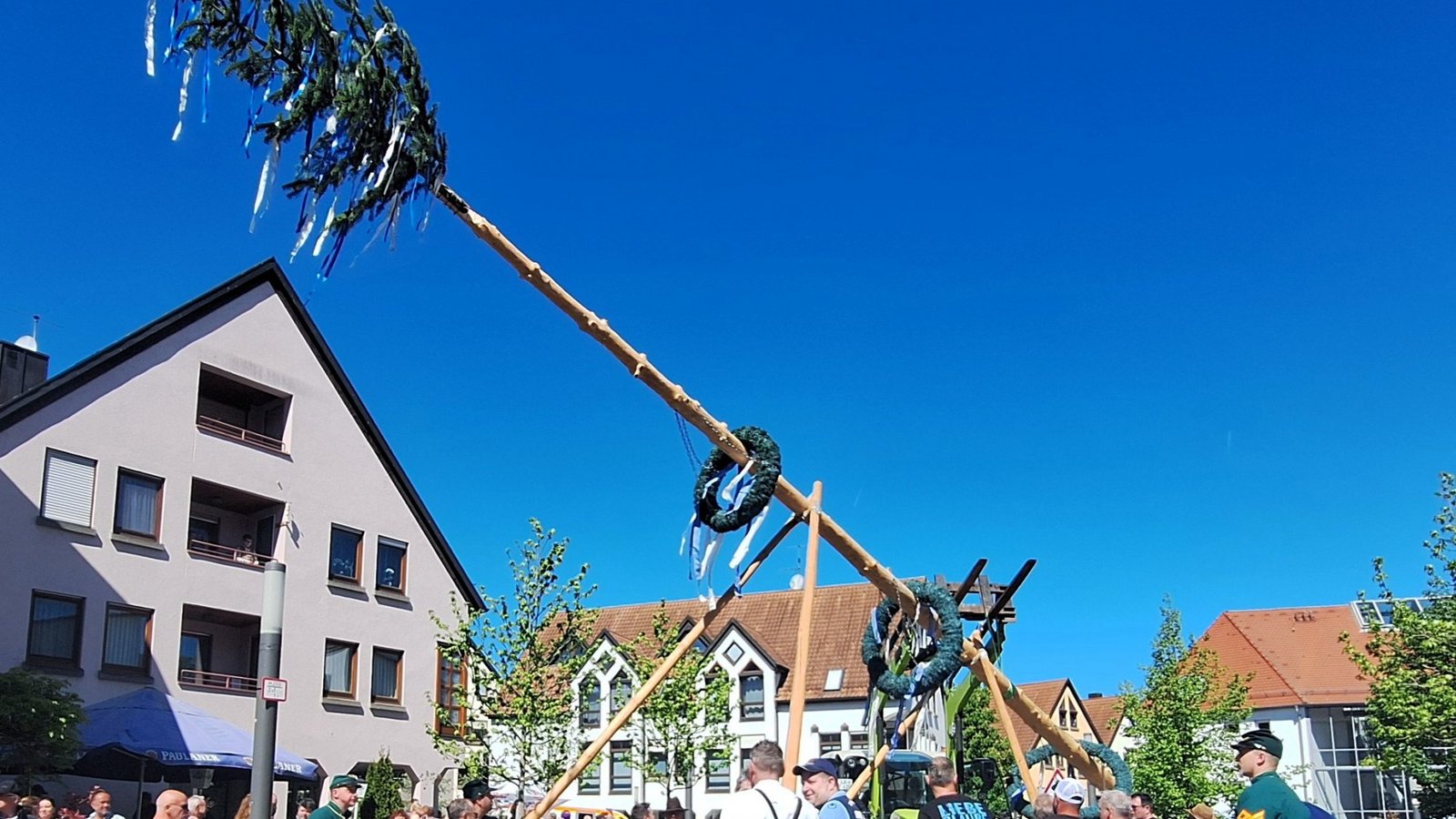 Muskelkraft gefragt: Die Sersheimer Löwen stellen den Maibaum in der Ortsmitte auf. Foto: Kauer
