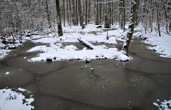 „Das Rätsel um die Rauchsäulen scheint ja gelöst zu sein, aber was können die Spuren unter dem Eis sein? Vielleicht von unbekannten Lebewesen?“, schreibt Rudi Thalhäuser aus Gündelbach zu seinem Foto. Vorschläge per E-Mail an info@vkz.de.