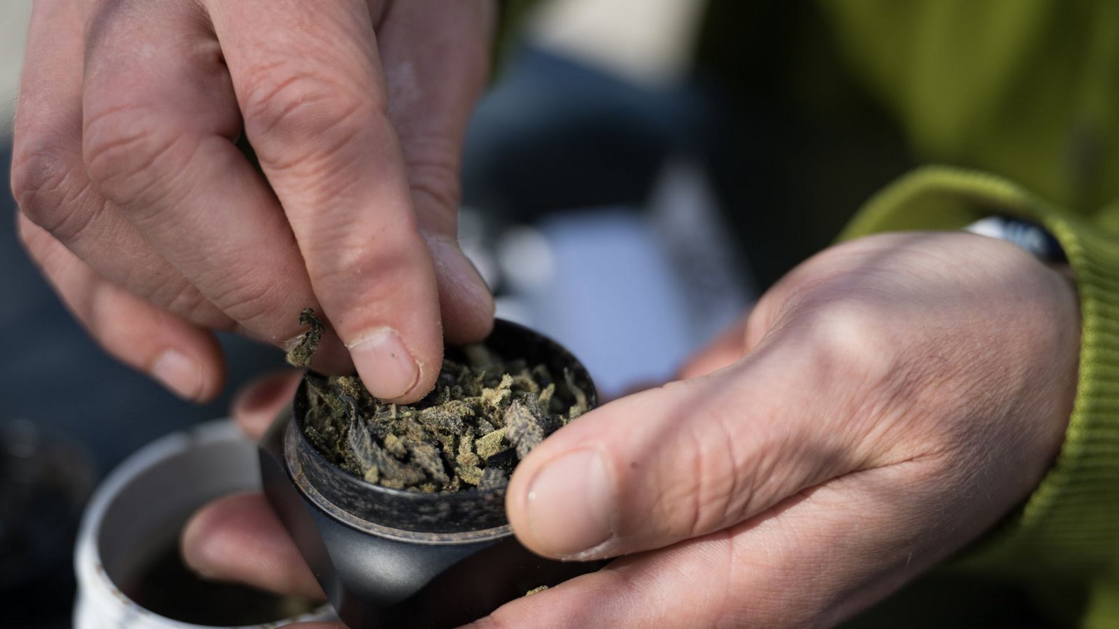 Polizeibeamte fanden bei dem Tatverdächtigen 30 Gramm Marihuana. (Symbolbild)Foto: dpa/Sebastian Gollnow Polizeibeamte fanden bei dem Tatverdächtigen 30 Gramm Marihuana. (Symbolbild)Foto: dpa/Sebastian Gollnow