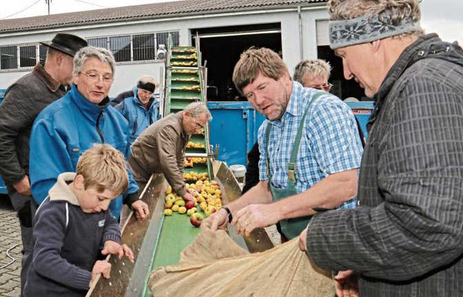 Die Schaffer von der Streuobstinitiative in Aktion, mit dabei Rösler (blau kariert) samt Filius.  sr