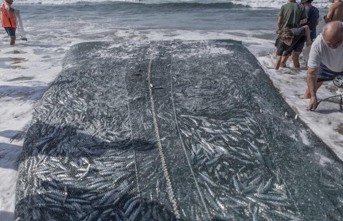 Sardinenfang in Südafrika.<span class='image-autor'>RAJESH JANTILAL/afp</span>