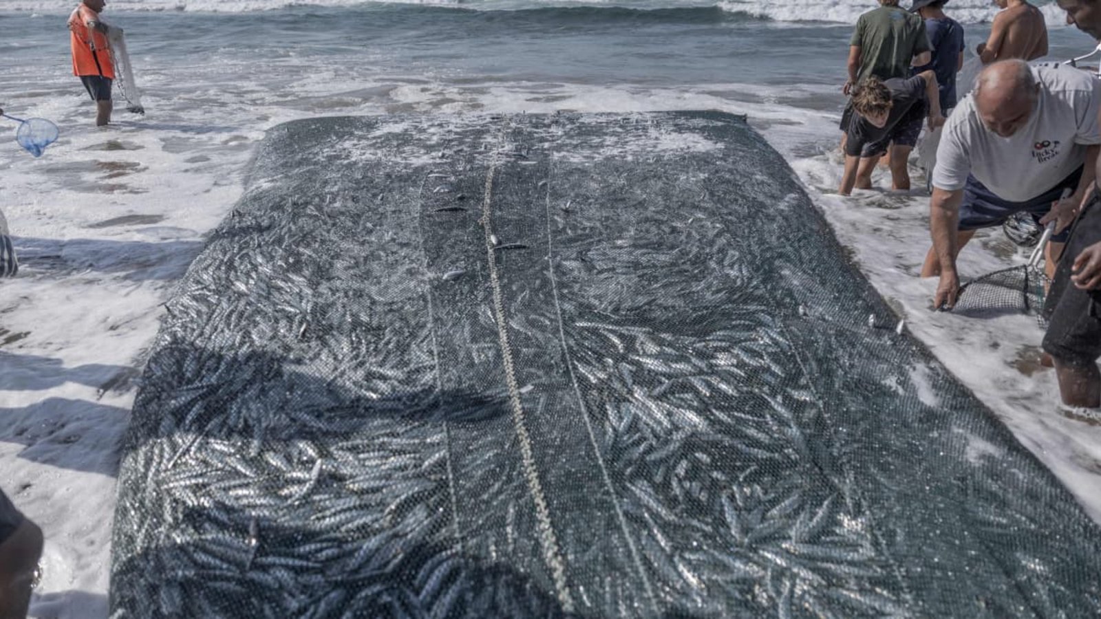 Sardinenfang in Südafrika.RAJESH JANTILAL/afp Sardinenfang in Südafrika.RAJESH JANTILAL/afp