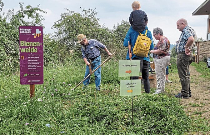 Mehrere Hundert Besucher beim Naturerlebnistag an der Ehmetsklinge. Fotos: p