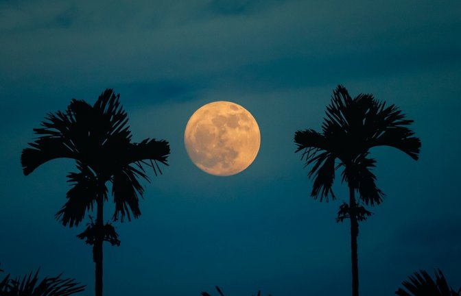 So gelingen Mondfotos mit dem iPhone.<span class='image-autor'>Foto: Kabir9698 / shutterstock.com</span>