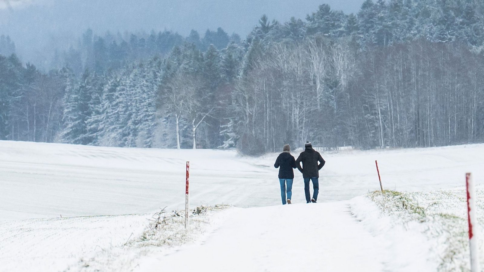 Das Land – so wie hier in Bösingen zwischen Schwarzwald und Schwäbischer Alb – färbt sich langsam weiß. Doch reicht es zum Start in die Skisaison?Foto: Silas Stein/dpa Das Land – so wie hier in Bösingen zwischen Schwarzwald und Schwäbischer Alb – färbt sich langsam weiß. Doch reicht es zum Start in die Skisaison?Foto: Silas Stein/dpa