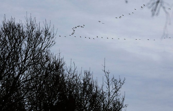 Das Wetter ist grau und trist.<span class='image-autor'>Foto: dpa/Sascha Thelen</span>