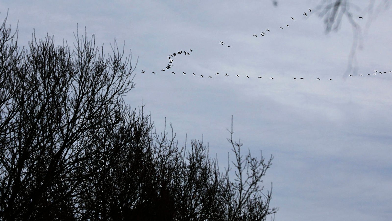 Das Wetter ist grau und trist.Foto: dpa/Sascha Thelen Das Wetter ist grau und trist.Foto: dpa/Sascha Thelen