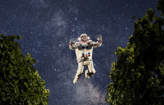Das Ergebnis: scheinbar schwerelos zwischen den Reben. <span class='image-autor'>Foto: Michael Bleeser/befotomedia.de</span>
