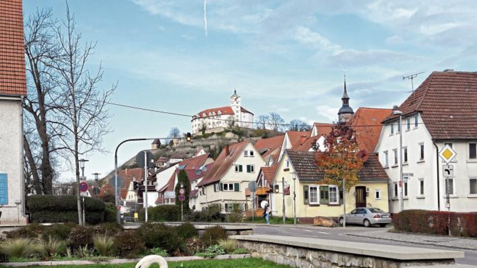 Ein Schwanenpaar beim Grasen unterm Kaltenstein – ein schöner Anblick, wenn man die Verdauungsrückstände auf dem Gehweg ausblendet. Foto: Rücker Ein Schwanenpaar beim Grasen unterm Kaltenstein – ein schöner Anblick, wenn man die Verdauungsrückstände auf dem Gehweg ausblendet. Foto: Rücker