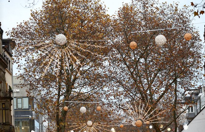 Die Platanen sind aktuell  Weihnachtsbäume.<span class='image-autor'>Foto: Stefan Jehle//cf</span>